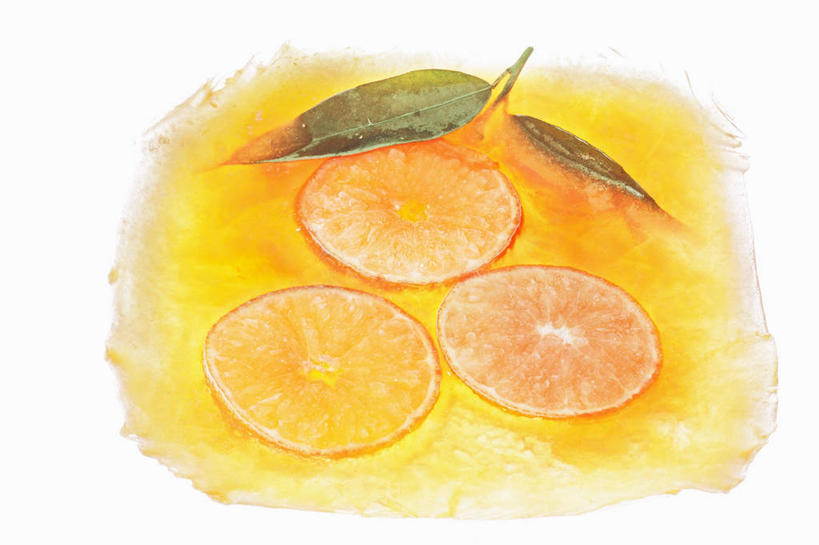 无人,横图,俯视,室内,特写,白天,白色背景,柑橘,水果,叶子,切开,阴影,新鲜,反射,影子,冰,生食,冰块,食品,果实,绿叶,冷冻,食物,切,嫩叶,寒冷,摄影,有机食品,绿色食品,影棚,冷藏,冰冷,横截面,剖面,切面,保鲜,叶,叶片,橘子,桔子,橙子,橙,彩图,高角度拍摄,影棚拍摄,拍摄