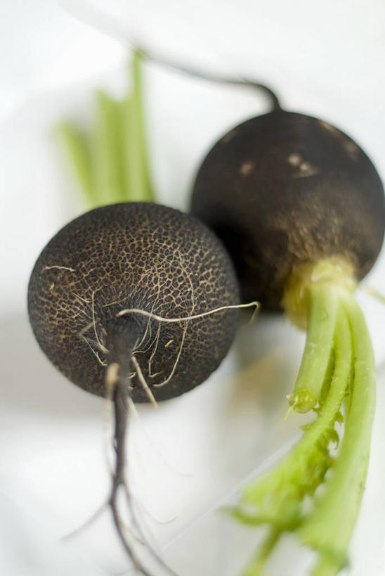 无人,竖图,俯视,室内,特写,白天,白色背景,餐桌,桌子,萝卜,蔬菜,叶子,阴影,朦胧,模糊,新鲜,反射,影子,食品,绿叶,食物,两个,黑色,嫩叶,摄影,有机食品,绿色食品,影棚,餐台,叶,叶片,彩图,高角度拍摄,影棚拍摄,拍摄,黑萝卜