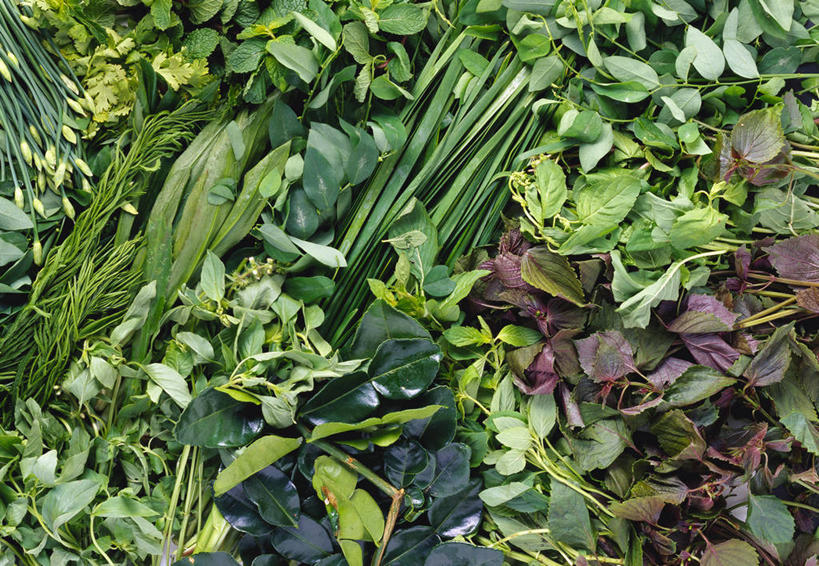 无人,横图,俯视,室内,特写,白天,植物,叶子,一堆,许多,堆叠,堆积,新鲜,纹理,绿叶,很多,绿色,香草,嫩叶,青春,堆,生命,和平,安详,肌理,冷色,芳香植物,叶,叶片,叶脉,彩图,高角度拍摄