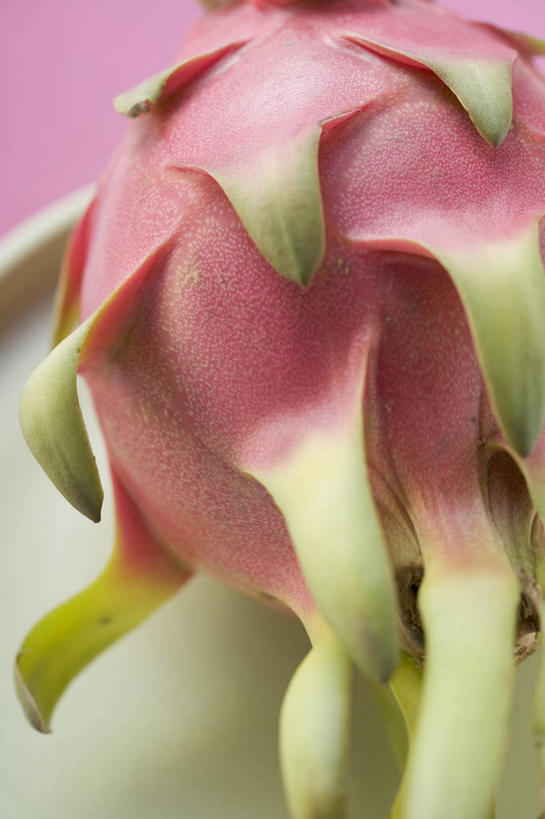 无人,竖图,俯视,室内,特写,白天,餐桌,桌子,水果,阴影,粉色背景,新鲜,反射,影子,生食,食品,果实,火龙果,食物,一个,红色,青龙果,摄影,有机食品,绿色食品,影棚,单个,餐台,彩图,高角度拍摄,影棚拍摄,拍摄