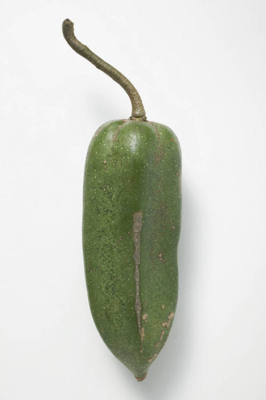 无人,竖图,俯视,室内,特写,白天,白色背景,餐桌,桌子,水果,阴影,新鲜,反射,影子,生食,食品,果实,食物,一个,绿色,摄影,有机食品,绿色食品,影棚,单个,餐台,彩图,高角度拍摄,影棚拍摄,拍摄