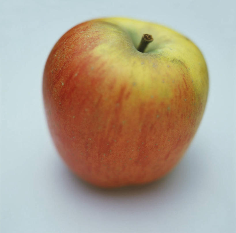 无人,横图,俯视,室内,特写,白天,餐桌,桌子,苹果,水果,阴影,蓝色背景,新鲜,反射,影子,生食,食品,果实,食物,一个,红色,摄影,有机食品,绿色食品,影棚,单个,餐台,彩图,高角度拍摄,影棚拍摄,拍摄