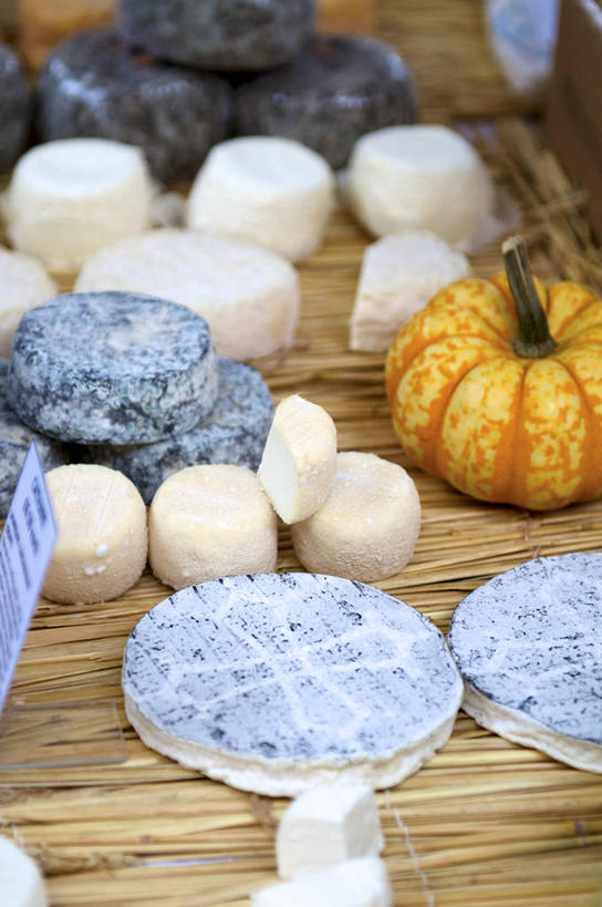 奶酪,无人,竖图,俯视,室内,特写,白天,餐桌,桌子,南瓜,蔬菜,许多,阴影,新鲜,反射,影子,金瓜,干酪,起司,食品,芝士,很多,营养,番瓜,食物,一个,黄色,乳酪,有机食品,绿色食品,单个,餐台,麦瓜,倭瓜,乳制品,发酵,彩图,高角度拍摄