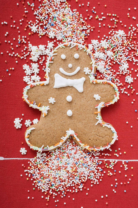 点心,无人,竖图,俯视,室内,特写,白天,餐桌,桌子,圣诞节,阴影,红色背景,节日,庆祝,人形,反射,粉末,影子,调料,食品,糖,甜点,调味品,调味料,文化,食物,糕点,一个,饼干,甜食,零食,庆典,粉,摄影,影棚,单个,餐台,纪念,酥饼,糖粉,姜饼,姜饼人,装饰饼干,粉状,粉剂,彩图,高角度拍摄,影棚拍摄,拍摄,糖类