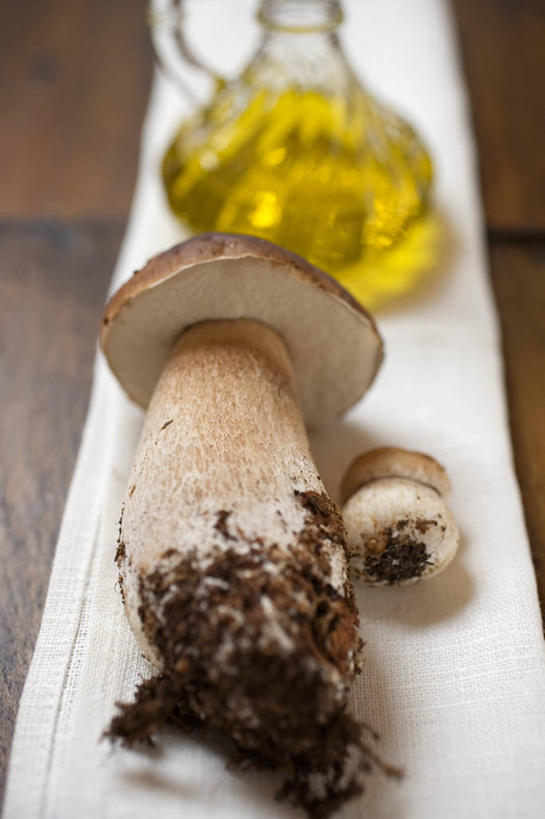 无人,竖图,俯视,室内,特写,白天,餐桌,桌子,蔬菜,纺织品,阴影,亚麻布,新鲜,反射,布,罐子,影子,泥土,土壤,菌菇,蘑菇,食用油,油,橄榄油,食品,织物,菌类,中药,玻璃制品,食物,两个,一个,玻璃瓶,瓶子,食用菌,有机食品,绿色食品,单个,餐台,布匹,药材,牛肝菌,植物油,中药材,美味牛肝菌,大脚菇,彩图,高角度拍摄