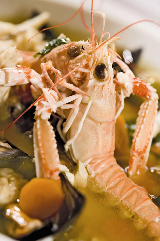 无人,竖图,俯视,室内,特写,白天,烹饪,西餐,餐桌,桌子,蔬菜,阴影,朦胧,模糊,新鲜,反射,影子,陶瓷,汤,虾,料理,食品,陶瓷制品,菜肴,美食,大虾,食物,一个,白色,容器,碗,西式,佳肴,有机食品,绿色食品,对虾,单个,餐台,储藏,储存,斑节虾,东方对虾,中国对虾,彩图,高角度拍摄,贮存