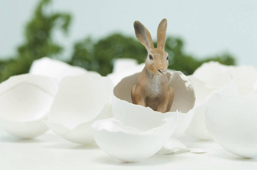 无人,横图,室内,特写,白天,正面,草地,草坪,植物,餐桌,桌子,哺乳动物,雕塑,复活节,阴影,节日,朦胧,模糊,庆祝,艺术,装饰,反射,兔子,雕刻,雕像,影子,蛋,文化,草,一只,绿色,动物,工艺品,庆典,餐台,纪念,兔,美术,主题,彩蛋,陈列,复活节彩蛋,功能,美学,彩图,全身