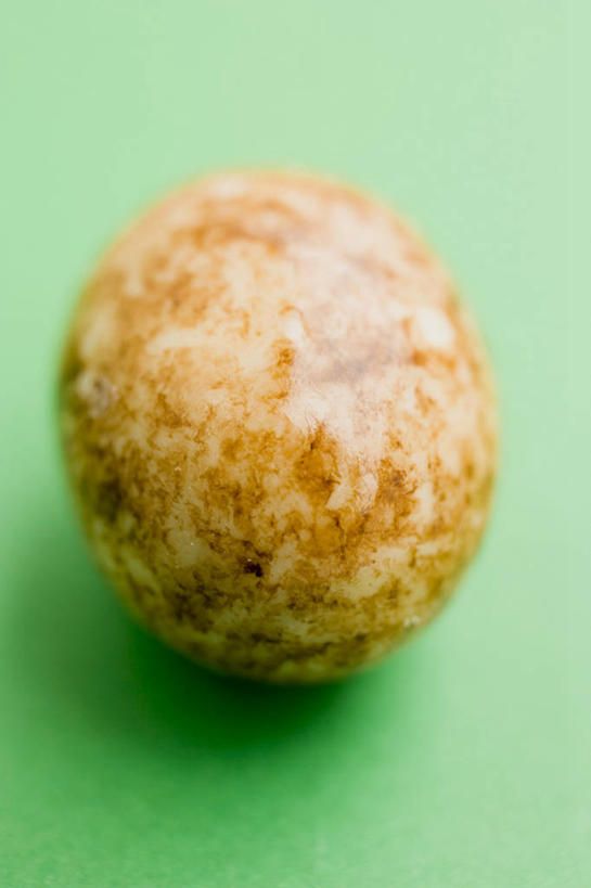 无人,竖图,俯视,室内,特写,白天,餐桌,桌子,复活节,绿色背景,阴影,节日,庆祝,反射,影子,蛋,食品,糖,糖果,甜点,甜品,一颗,文化,食物,甜食,巧克力,庆典,摄影,影棚,餐台,纪念,朱古力,黑巧克力,彩蛋,复活节彩蛋,彩图,高角度拍摄,影棚拍摄,拍摄