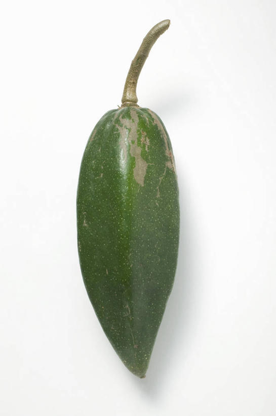 无人,竖图,俯视,室内,特写,白天,白色背景,餐桌,桌子,木瓜,水果,阴影,新鲜,反射,影子,生食,食品,果实,食物,一个,绿色,摄影,有机食品,绿色食品,影棚,单个,餐台,奶匏,蓬生果,乳瓜,石瓜,万寿匏,万寿果,番木瓜,彩图,高角度拍摄,影棚拍摄,拍摄