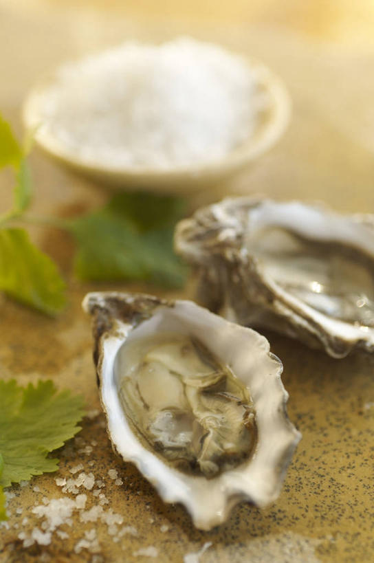 海鲜,无人,竖图,俯视,室内,特写,白天,餐桌,桌子,蔬菜,叶子,阴影,朦胧,模糊,新鲜,反射,影子,香菜,调料,盐,食品,绿叶,牡蛎,调味品,调味料,水产,食盐,海洋生物,食物,嫩叶,有机食品,绿色食品,餐台,生蚝,水生动物,海产品,水生物,海底动物,胡菜,香荽,原荽,园荽,芫荽,胡荽,莞荽,芫茜,芫蓿,莚葛草,莚荽菜,叶,叶片,彩图,高角度拍摄