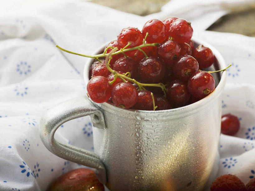 无人,横图,俯视,室内,特写,白天,餐桌,桌子,浆果,杯子,水果,一堆,许多,阴影,堆叠,堆积,新鲜,反射,影子,陶瓷,灯笼果,生食,食品,果实,陶瓷制品,很多,食物,一个,红色,餐巾,马克杯,水杯,有机食品,绿色食品,单个,餐台,堆,红醋栗,保洁方巾,口布,醋栗,彩图,高角度拍摄