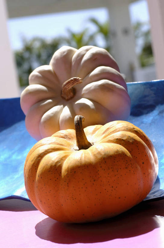 无人,竖图,俯视,室内,特写,白天,餐桌,桌子,南瓜,蔬菜,阴影,朦胧,模糊,新鲜,反射,影子,金瓜,食品,番瓜,食物,两个,黄色,有机食品,绿色食品,餐台,麦瓜,倭瓜,彩图,高角度拍摄