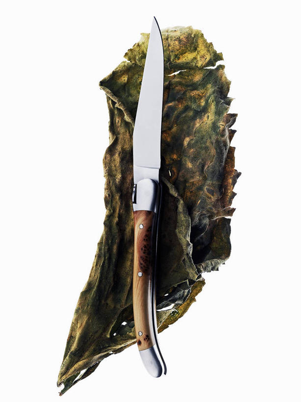 无人,竖图,俯视,室内,特写,白天,白色背景,餐桌,桌子,叶子,金属制品,一把,阴影,反射,金属,工具,影子,绿叶,刀具,刀,嫩叶,摄影,影棚,餐台,菜刀,切菜刀,叶,叶片,彩图,高角度拍摄,影棚拍摄,拍摄