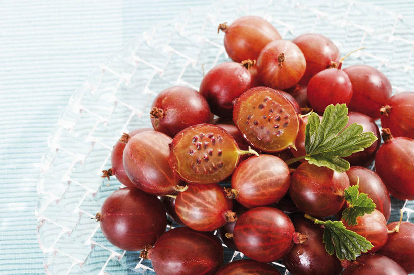 无人,横图,俯视,室内,特写,白天,餐桌,桌子,浆果,水果,叶子,一堆,许多,阴影,堆叠,堆积,新鲜,反射,影子,灯笼果,生食,食品,果实,绿叶,很多,食物,红色,嫩叶,有机食品,绿色食品,餐台,堆,红醋栗,叶,叶片,醋栗,彩图,高角度拍摄