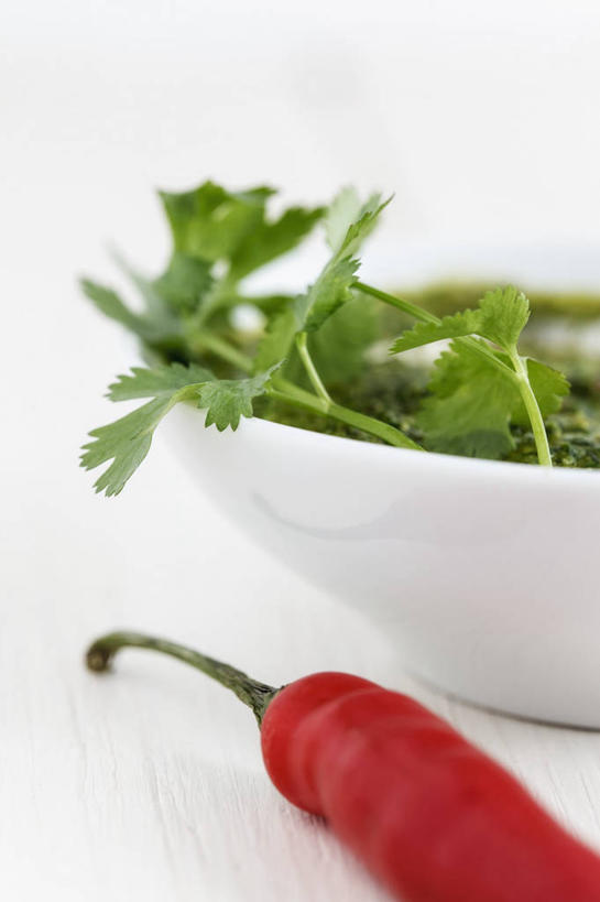 无人,竖图,俯视,室内,特写,白天,白色背景,餐桌,桌子,辣椒,蔬菜,叶子,阴影,新鲜,反射,影子,陶瓷,香菜,调料,酱料,酱汁,佐料,食品,绿叶,陶瓷制品,调味品,调味料,酱,辣酱,食物,一个,红色,绿色,容器,碗,嫩叶,摄影,有机食品,绿色食品,影棚,单个,餐台,储藏,辣椒酱,储存,辣角,红海椒,大椒,辣虎,广椒,胡菜,香荽,原荽,园荽,芫荽,胡荽,莞荽,芫茜,芫蓿,莚葛草,莚荽菜,叶,叶片,辣子,红辣椒,海椒,番椒,彩图,高角度拍摄,影棚拍摄,拍摄,贮存