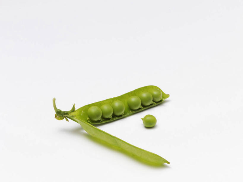 无人,横图,俯视,室内,特写,白天,白色背景,植物,餐桌,桌子,蔬菜,阴影,新鲜,反射,影子,豆类,豆子,豌豆,食品,荷兰豆,食物,一个,绿色,摄影,有机食品,绿色食品,影棚,单个,餐台,雪豆,豆科,寒豆,毕豆,麻累,国豆,小寒豆,麦豌豆,彩图,高角度拍摄,影棚拍摄,拍摄