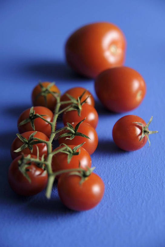 无人,竖图,俯视,室内,特写,白天,餐桌,桌子,西红柿,小番茄,一排,许多,阴影,蓝色背景,朦胧,模糊,整齐,反射,影子,排列,红色,摄影,影棚,餐台,队列,小西红柿,樱桃小番茄,珍珠小番茄,樱桃番茄,圣女果,番茄,彩图,高角度拍摄,影棚拍摄,拍摄