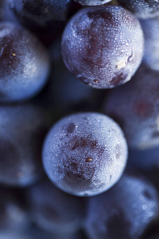 无人,竖图,俯视,室内,特写,白天,浆果,蓝莓,水果,一堆,许多,阴影,堆叠,堆积,朦胧,模糊,新鲜,反射,影子,生食,食品,果实,食物,蓝色,有机食品,绿色食品,堆,山都柿,蓝浆果,蓝靛果,彩图,高角度拍摄