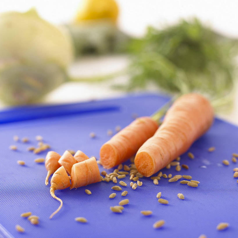 无人,方图,俯视,室内,特写,白天,白色背景,玉米,餐桌,桌子,萝卜,胡萝卜,蔬菜,阴影,朦胧,模糊,新鲜,反射,棒子,影子,玉蜀黍,食品,案板,砧板,食物,蓝色,橙色,摄影,有机食品,绿色食品,影棚,餐台,苞米,苞芦,苞谷,包谷,大蜀黍,番麦,薏米包,玉高粱,玉麦,珍珠米,红萝卜,甘荀,彩图,高角度拍摄,影棚拍摄,拍摄