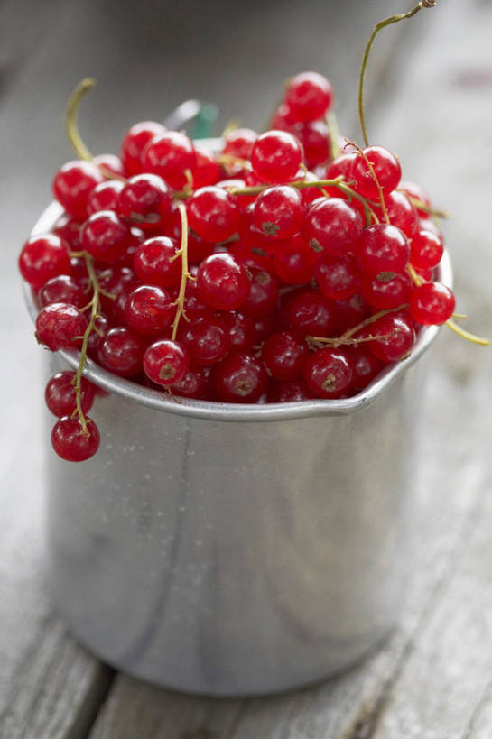 无人,竖图,俯视,室内,特写,白天,餐桌,桌子,浆果,水果,一堆,许多,阴影,堆叠,堆积,朦胧,模糊,新鲜,反射,木制,影子,灯笼果,生食,食品,果实,食物,一个,红色,木制品,容器,有机食品,绿色食品,单个,餐台,储藏,堆,储存,红醋栗,醋栗,彩图,高角度拍摄,贮存