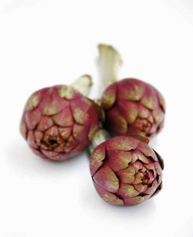 无人,竖图,俯视,室内,特写,白天,白色背景,餐桌,桌子,蔬菜,阴影,朦胧,模糊,新鲜,反射,影子,朝鲜蓟,食品,食物,三个,红色,洋蓟,摄影,有机食品,绿色食品,影棚,餐台,彩图,高角度拍摄,影棚拍摄,拍摄,菜蓟,法国百合,球洋蓟,蔬菜之皇,洋百合