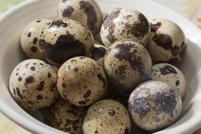 无人,横图,俯视,室内,特写,白天,餐桌,桌子,一堆,许多,阴影,堆叠,堆积,反射,影子,陶瓷,蛋,陶瓷制品,鹌鹑蛋,一个,白色,容器,碗,单个,餐台,储藏,堆,储存,卵,鹌鹑卵,鹑鸟蛋,彩图,高角度拍摄,贮存