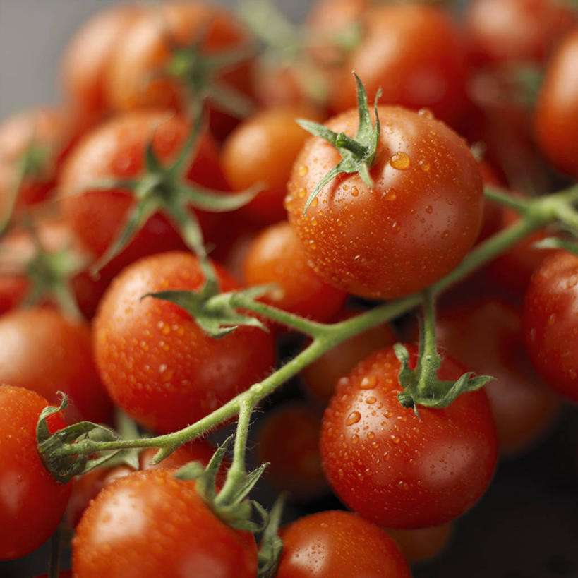 无人,方图,俯视,室内,特写,白天,水,蔬菜,西红柿,小番茄,一堆,许多,阴影,堆叠,堆积,朦胧,模糊,新鲜,反射,液体,影子,水滴,食品,食物,红色,有机食品,绿色食品,堆,小西红柿,樱桃小番茄,珍珠小番茄,樱桃番茄,圣女果,番茄,彩图,高角度拍摄