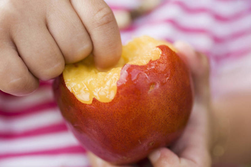 西方人,儿童,手,一个人,横图,俯视,室内,特写,白天,纯洁,桃子,水果,欧洲,欧洲人,双手,仅一个男性,仅一个人,握,阴影,服装,朦胧,模糊,新鲜,反射,影子,生食,食品,果实,油桃,休闲装,食物,一个,小孩,衣服,仅一个小孩,休闲,手部,休闲服,可爱,童年,童趣,握着,服饰,有机食品,绿色食品,单个,童真,烂漫,无邪,肺果,李光桃,天真,男孩,男人,男性,白种人,孩子,半身,彩图,高角度拍摄,男生