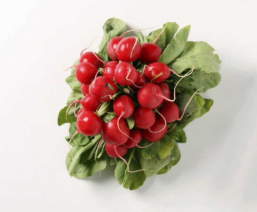 无人,横图,俯视,室内,特写,白天,白色背景,餐桌,桌子,萝卜,蔬菜,叶子,一堆,许多,阴影,堆叠,堆积,新鲜,反射,影子,食品,绿叶,食物,红色,嫩叶,摄影,有机食品,绿色食品,影棚,餐台,堆,大红萝卜,东北红萝卜,叶,叶片,莱菔,红萝卜,彩图,高角度拍摄,影棚拍摄,拍摄