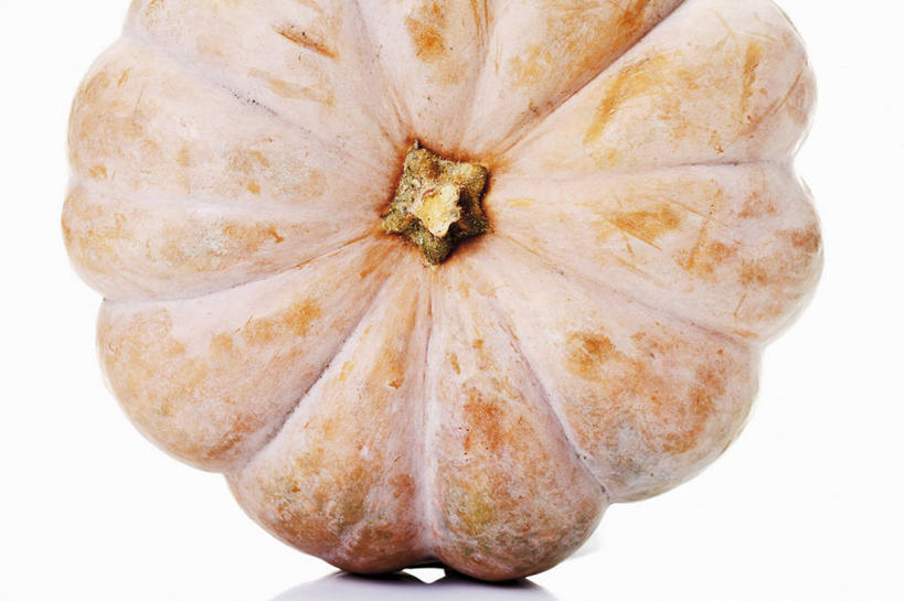 无人,横图,室内,特写,白天,白色背景,正面,餐桌,桌子,南瓜,蔬菜,阴影,新鲜,反射,影子,金瓜,食品,番瓜,食物,一个,摄影,有机食品,绿色食品,影棚,单个,餐台,麦瓜,倭瓜,彩图,影棚拍摄,拍摄