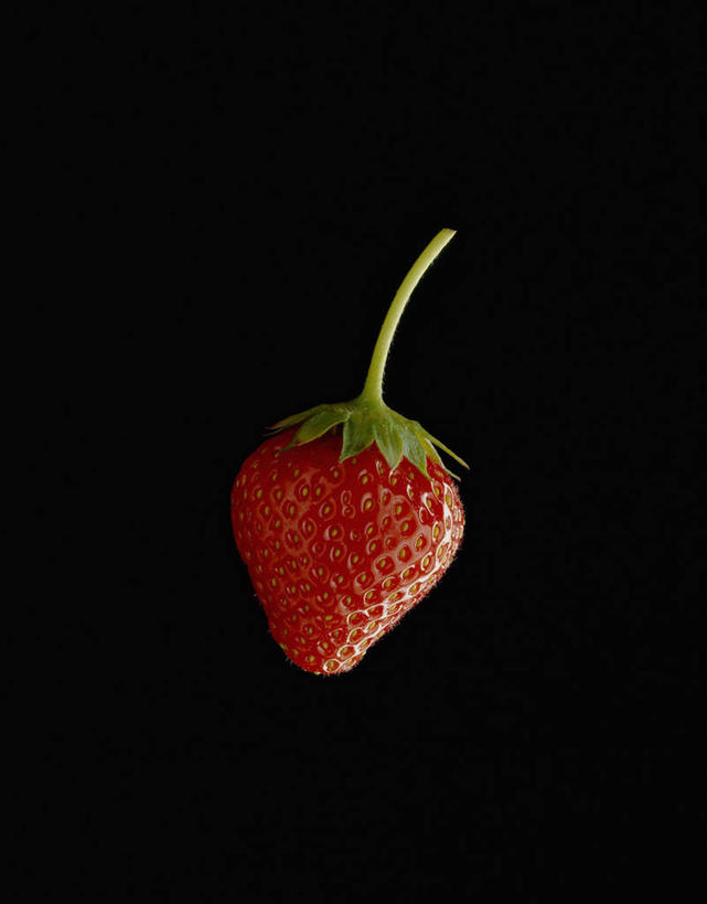 无人,竖图,室内,特写,白天,正面,草莓,浆果,水果,阴影,黑色背景,新鲜,反射,影子,生食,食品,果实,食物,一个,红色,摄影,有机食品,绿色食品,影棚,单个,洋莓,水果皇后,红莓,地莓,彩图,影棚拍摄,拍摄