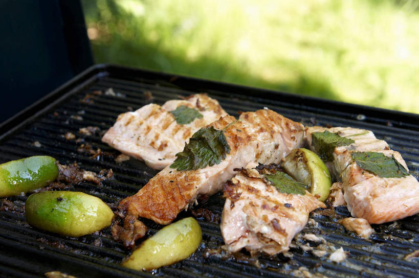 三文鱼,无人,横图,俯视,室外,特写,白天,烧烤,草地,草坪,植物,鲑鱼,柠檬,水果,叶子,阴影,朦胧,模糊,新鲜,光线,影子,肉,生食,鱼肉,食品,果实,绿叶,烤架,烤肉,肉类,草,食物,绿色,阳光,嫩叶,铁架,有机食品,绿色食品,大马哈鱼,肉食,撒蒙鱼,萨门鱼,冰海之皇,鲑,马哈鱼,麻哈鱼,大麻哈鱼,叶,叶片,益母果,柠果,彩图,高角度拍摄