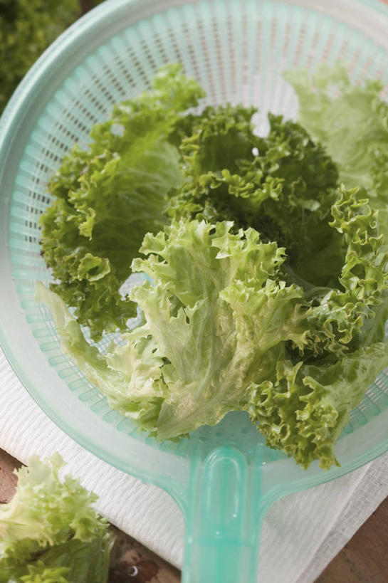 无人,竖图,俯视,室内,特写,白天,餐桌,桌子,蔬菜,阴影,新鲜,反射,滤器,影子,勺子,生菜,莴苣,食品,食物,有机食品,绿色食品,餐台,漏勺,春菜,鹅仔菜,莴仔菜,千金菜,叶用莴苣,彩图,高角度拍摄