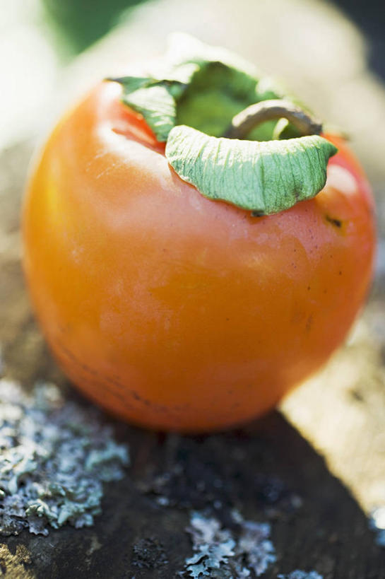 无人,竖图,俯视,室内,特写,白天,餐桌,桌子,浆果,柿子,水果,阴影,朦胧,模糊,新鲜,反射,影子,生食,食品,果实,食物,黄色,有机食品,绿色食品,餐台,彩图,高角度拍摄