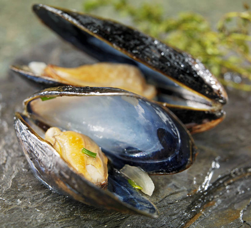 海鲜,无人,横图,俯视,室内,特写,白天,餐桌,桌子,蔬菜,洋葱,贝壳,阴影,朦胧,模糊,新鲜,反射,影子,食品,水产,海洋生物,食物,两个,有机食品,绿色食品,餐台,玉葱,水生动物,海产品,贻贝,水生物,海底动物,海虹,淡菜,壳菜,青口,圆葱,洋葱头,球葱,葱头,彩图,高角度拍摄