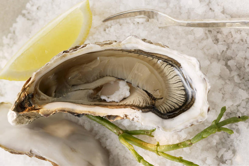 海鲜,无人,横图,俯视,室内,特写,白天,餐桌,桌子,柠檬,水果,阴影,新鲜,反射,影子,调料,生食,盐,食品,果实,牡蛎,调味品,调味料,水产,食盐,海洋生物,食物,有机食品,绿色食品,餐台,生蚝,水生动物,海产品,横截面,水生物,剖面,海底动物,截面,截面图形,益母果,柠果,彩图,高角度拍摄