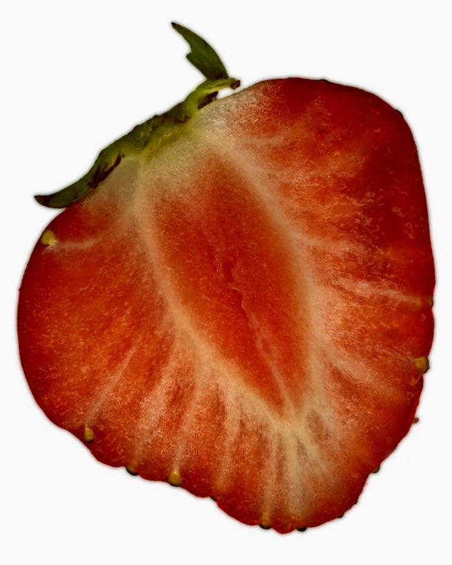 无人,竖图,室内,特写,白天,白色背景,正面,草莓,浆果,水果,阴影,新鲜,反射,影子,生食,食品,果实,食物,一个,红色,摄影,有机食品,绿色食品,影棚,单个,横截面,剖面,截面,截面图形,洋莓,水果皇后,红莓,地莓,彩图,影棚拍摄,拍摄