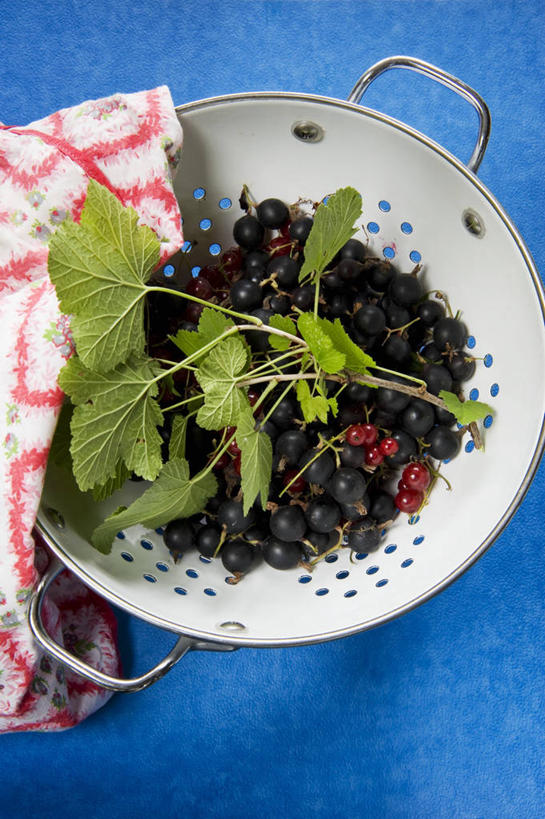 无人,竖图,俯视,室内,特写,白天,餐桌,桌子,浆果,蔬菜,水果,叶子,一堆,许多,阴影,堆叠,堆积,蓝色背景,新鲜,反射,布料,滤器,影子,勺子,灯笼果,生食,食品,果实,绿叶,布纹,桌布,食物,餐巾,台布,嫩叶,摄影,有机食品,绿色食品,影棚,餐台,堆,红醋栗,漏勺,叶,叶片,醋栗,彩图,高角度拍摄,影棚拍摄,拍摄