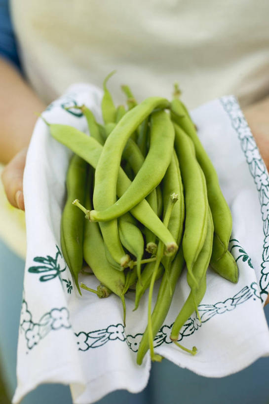 西方人,一个人,捧,竖图,俯视,室内,特写,白天,植物,豆,蔬菜,欧洲,欧洲人,仅一个男性,仅一个人,一堆,许多,阴影,堆叠,堆积,服装,朦胧,模糊,新鲜,反射,布料,影子,豆类,豆子,食品,布纹,休闲装,桌布,食物,仅一个年轻男性,衣服,餐巾,台布,休闲,休闲服,服饰,有机食品,绿色食品,堆,豆科,青大豆,男人,男性,年轻男性,白种人,青豆,端,端着,捧着,手捧,半身,彩图,高角度拍摄