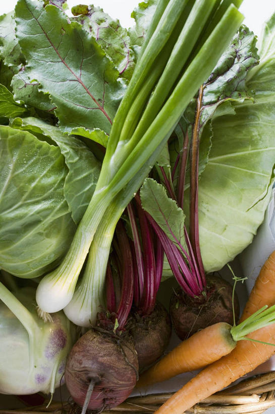 无人,竖图,俯视,室内,特写,白天,餐桌,桌子,萝卜,胡萝卜,蔬菜,椰菜,卷心菜,一堆,许多,阴影,堆叠,堆积,新鲜,反射,影子,食品,食物,橙色,甘蓝,有机食品,绿色食品,餐台,堆,结球甘蓝,红萝卜,甘荀,甘兰,包心菜,彩图,高角度拍摄