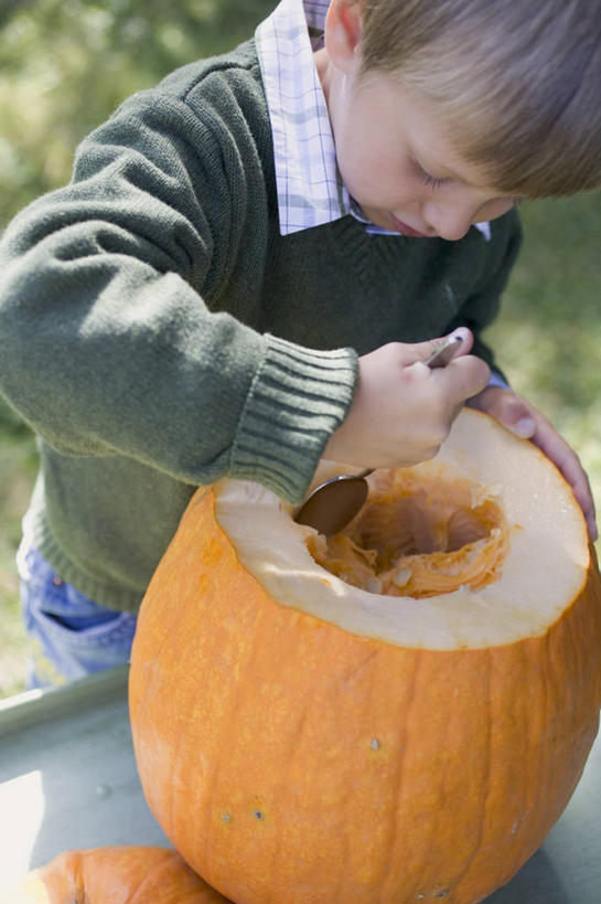 西方人,儿童,一个人,站,竖图,俯视,室外,白天,纯洁,草地,草坪,植物,南瓜,蔬菜,欧洲,欧洲人,仅一个男性,仅一个人,握,阴影,服装,节日,朦胧,模糊,庆祝,新鲜,光线,影子,金瓜,食品,注视,休闲装,文化,番瓜,草,食物,小孩,衣服,绿色,阳光,低头,观察,看,站着,仅一个小孩,庆典,休闲,休闲服,万圣节,可爱,童年,童趣,握着,服饰,有机食品,绿色食品,观看,纪念,麦瓜,倭瓜,察看,关注,童真,烂漫,无邪,天真,男孩,男人,男性,白种人,孩子,站立,半身,彩图,高角度拍摄,男生