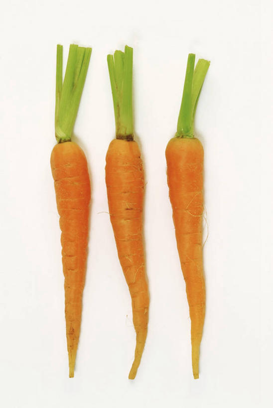 无人,竖图,俯视,室内,特写,白天,白色背景,萝卜,胡萝卜,蔬菜,阴影,新鲜,反射,影子,食品,食物,三个,橙色,摄影,有机食品,绿色食品,影棚,红萝卜,甘荀,彩图,高角度拍摄,影棚拍摄,拍摄