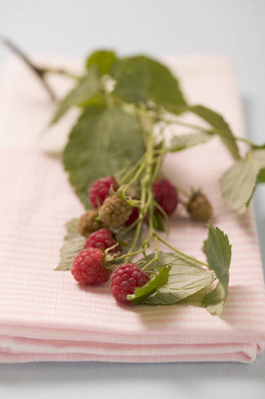 无人,竖图,俯视,室内,特写,白天,白色背景,餐桌,桌子,水果,阴影,朦胧,模糊,新鲜,反射,布料,影子,生食,食品,果实,布纹,桌布,食物,粉色,红色,餐巾,台布,摄影,有机食品,绿色食品,影棚,餐台,山莓,树莓,三月泡,四月泡,山抛子,刺葫芦,悬钩子,馒头菠,高脚菠,龙船泡,泡儿刺,彩图,高角度拍摄,影棚拍摄,拍摄