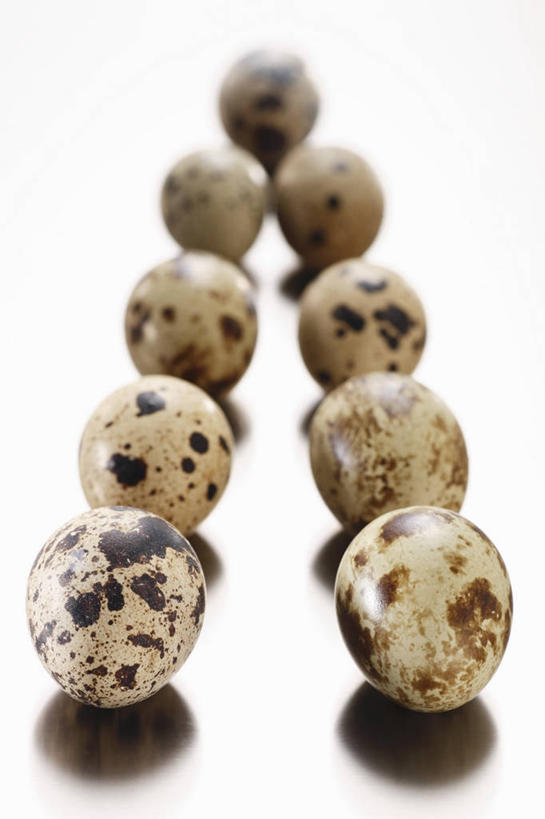 无人,竖图,俯视,室内,特写,白天,白色背景,餐桌,桌子,一排,许多,阴影,朦胧,模糊,整齐,反射,影子,蛋,鹌鹑蛋,排列,摄影,影棚,餐台,队列,卵,鹌鹑卵,鹑鸟蛋,彩图,高角度拍摄,影棚拍摄,拍摄