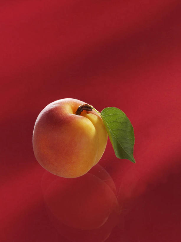 无人,竖图,俯视,室内,特写,白天,餐桌,桌子,杏,水果,叶子,阴影,红色背景,新鲜,反射,影子,生食,食品,果实,绿叶,食物,一个,嫩叶,摄影,有机食品,绿色食品,影棚,单个,餐台,杏果,叶,叶片,杏子,彩图,高角度拍摄,影棚拍摄,拍摄