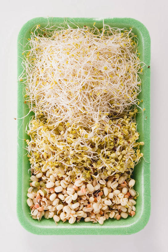 无人,竖图,俯视,室内,特写,白天,白色背景,餐桌,桌子,蔬菜,餐具,一堆,许多,阴影,堆叠,堆积,新鲜,反射,碟子,盘,影子,豆芽,食品,食物,一个,绿色,盘子,碟,摄影,有机食品,绿色食品,影棚,单个,餐台,堆,豆芽菜,芽苗菜,彩图,高角度拍摄,影棚拍摄,拍摄