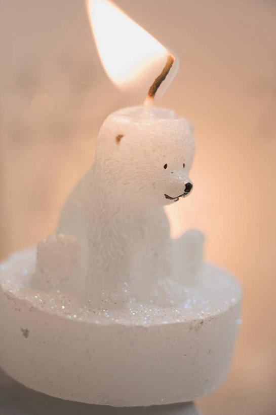 无人,坐,竖图,俯视,室内,特写,白天,北极熊,野生动物,静物,蜡烛,雕塑,阴影,朦胧,模糊,艺术,装饰,光线,雕刻,雕像,火焰,影子,烛光,燃烧,注视,动物,工艺品,点燃,观察,看,可爱,活泼,观看,纪念,美术,察看,关注,主题,陈列,功能,美学,坐着,彩图,高角度拍摄,全身