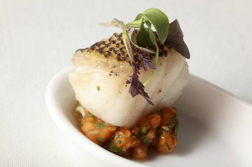 无人,横图,俯视,室内,特写,白天,白色背景,桌面,桌子,蔬菜,西红柿,小番茄,阴影,新鲜,反射,木制,影子,陶瓷,肉,生食,蔬菜沙拉,鱼肉,沙拉,食品,陶瓷制品,色拉,沙律,肉类,食物,一个,木制品,容器,碗,摄影,有机食品,绿色食品,影棚,单个,色拉酱,储藏,储存,千岛酱,肉食,小西红柿,樱桃小番茄,珍珠小番茄,樱桃番茄,圣女果,番茄,彩图,高角度拍摄,影棚拍摄,拍摄,贮存