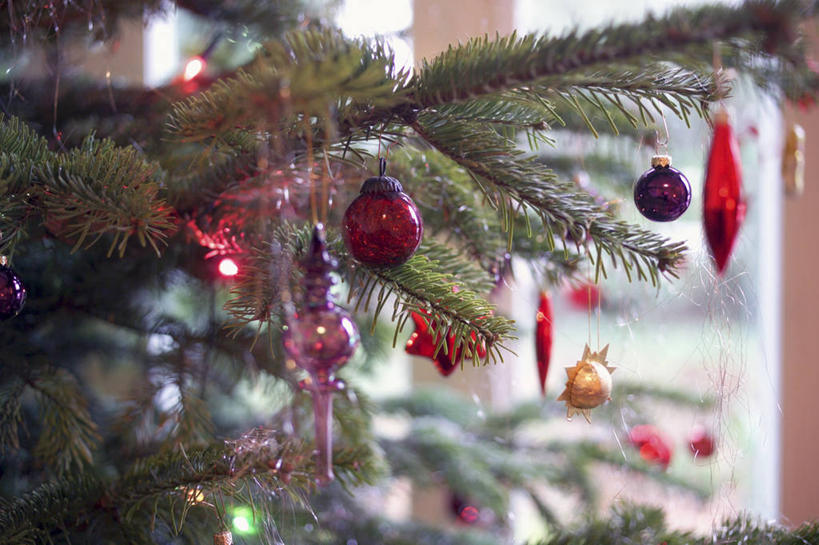 无人,横图,室内,特写,白天,正面,植物,窗户,照明,圣诞节,吊挂,悬挂,阴影,节日,朦胧,模糊,庆祝,装饰,环绕,缠绕,反射,彩灯,挂饰,影子,灯光,圣诞树,圣诞球,挂,文化,玻璃窗,灯,球,树,树木,绿色,自然,灯具,庆典,球体,花灯,生长,成长,纪念,华丽,修饰,照亮,点缀,照明设备,纠缠,衬托,美观,雅致,雅观,彩图