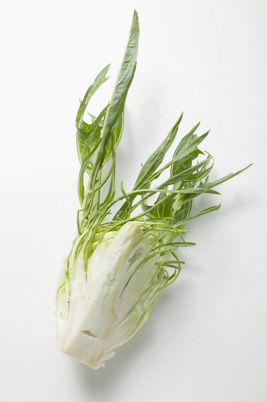 无人,竖图,俯视,室内,特写,白天,白色背景,植物,桌面,桌子,蔬菜,叶子,阴影,新鲜,反射,木制,纹理,影子,菊苣,食品,绿叶,药草,食物,绿色,木制品,嫩叶,摄影,有机食品,绿色食品,影棚,药材,肌理,叶,叶片,叶脉,彩图,高角度拍摄,影棚拍摄,拍摄